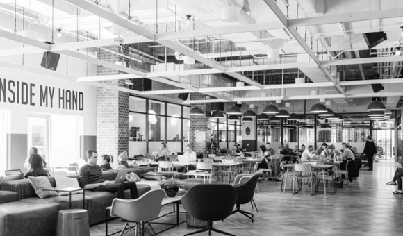 Everscale New York
